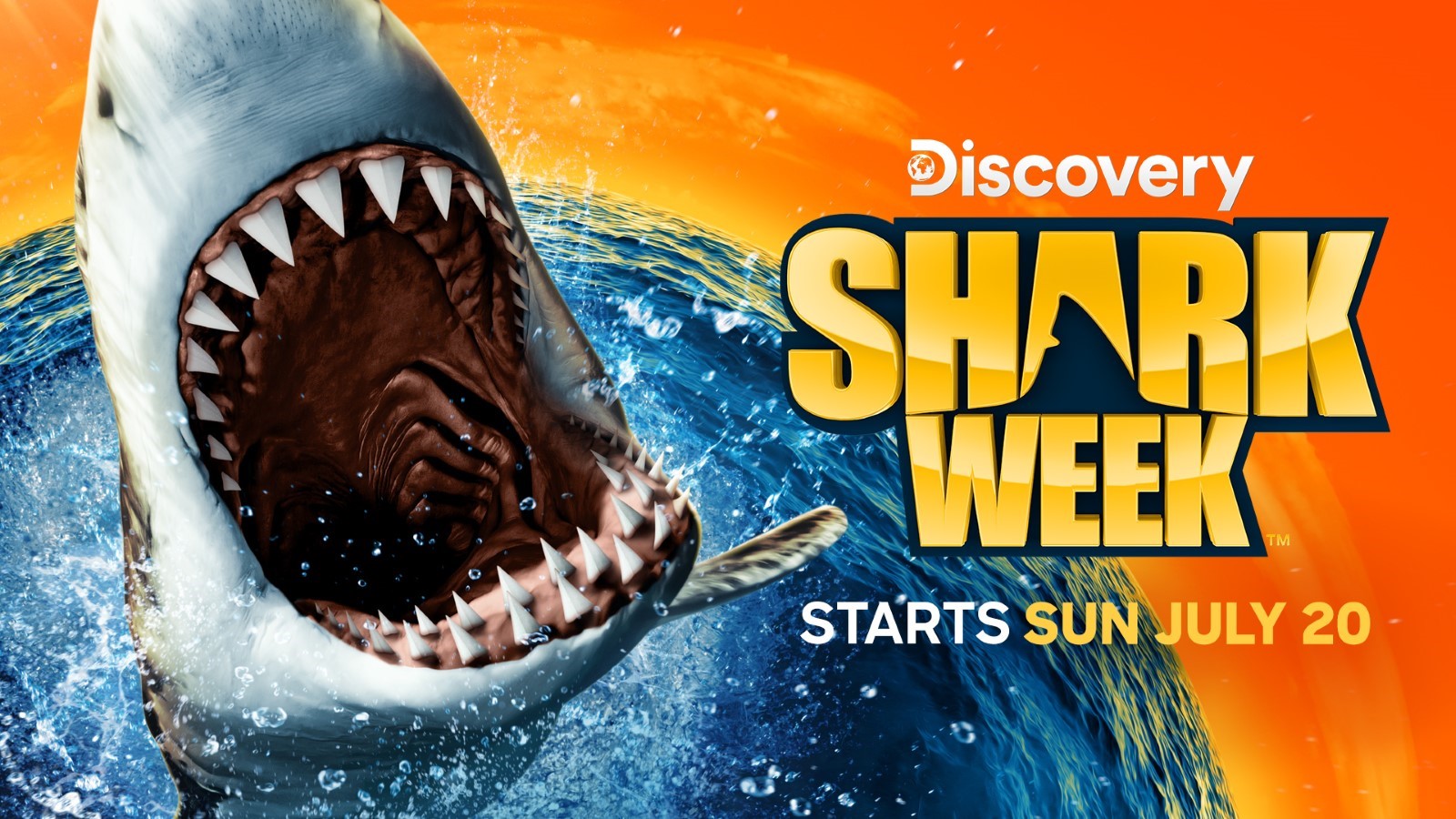 Shark Week 2026: Schedule, Highlights, and Best Shark Gear