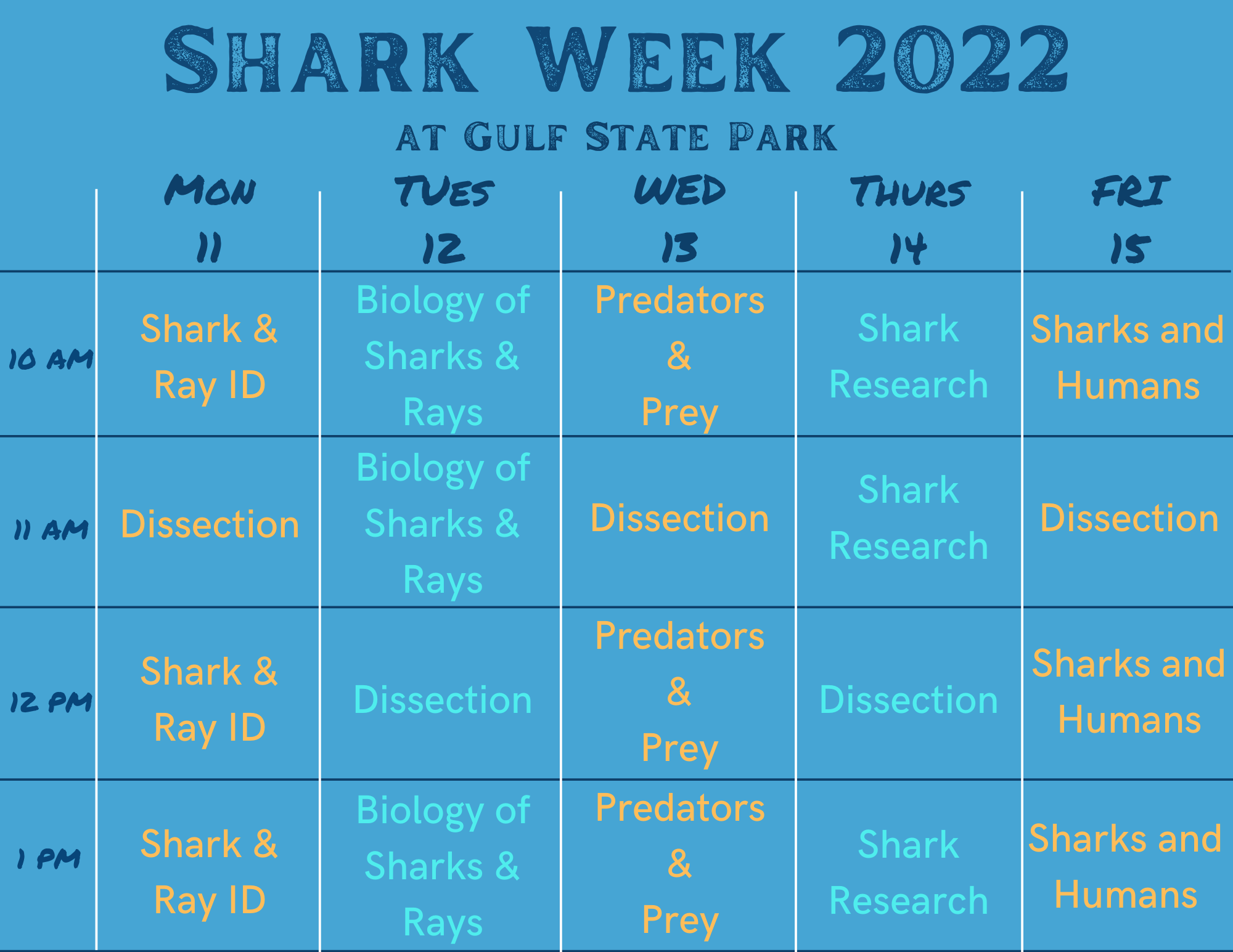 Shark Week 2026 Guide: Schedule, Highlights, and What to Watch