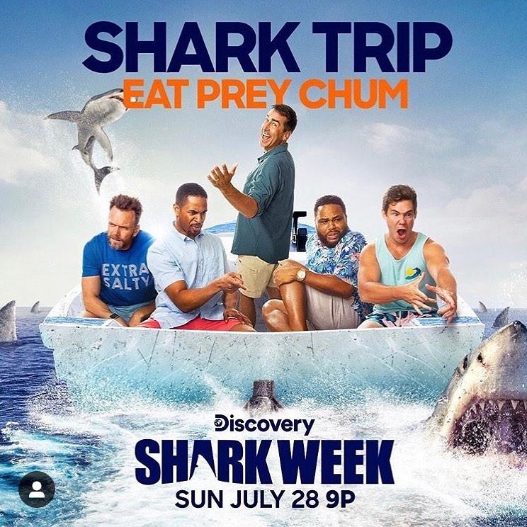 Shark Week 2026 Celebrity Host Lineup: Which A-List Stars Are Diving Deep This Summer