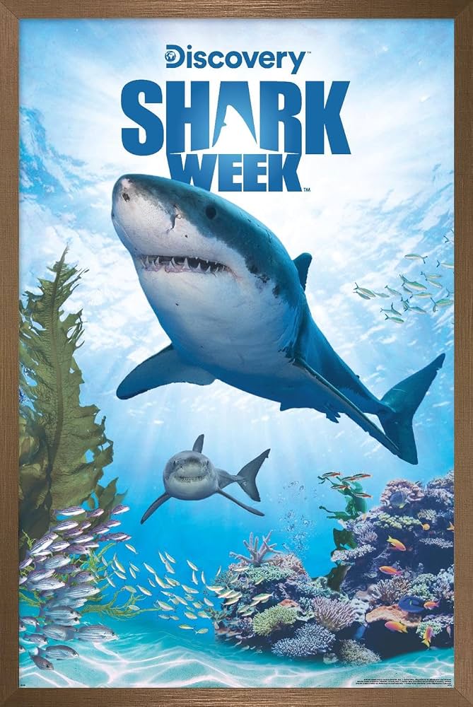 Shark Week 2026 Poster Print