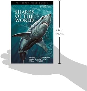 Shark identification field guide