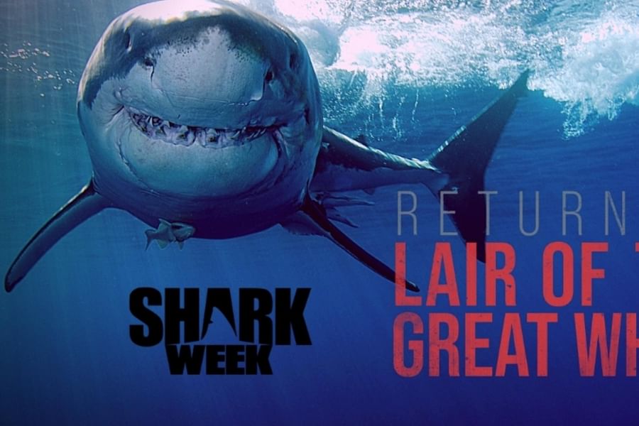 \'Great White Serial Killer: The Return\' Shark Week episode