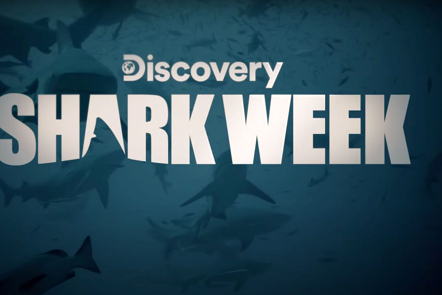 \'Return to Shark Vortex\' Shark Week episode