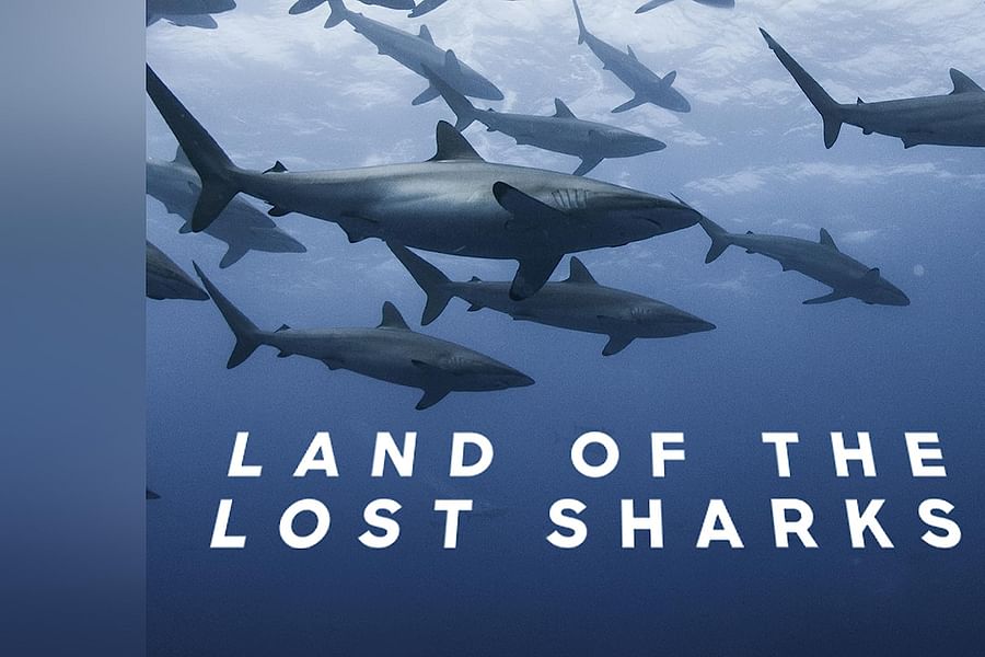 \'Shark Lockdown\' Shark Week episode