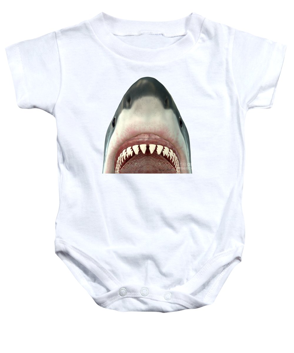 Great White Shark jaw