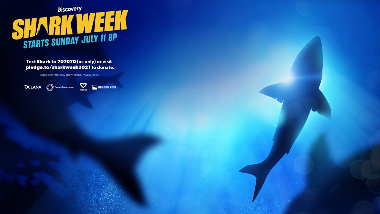 Oceana shark protection