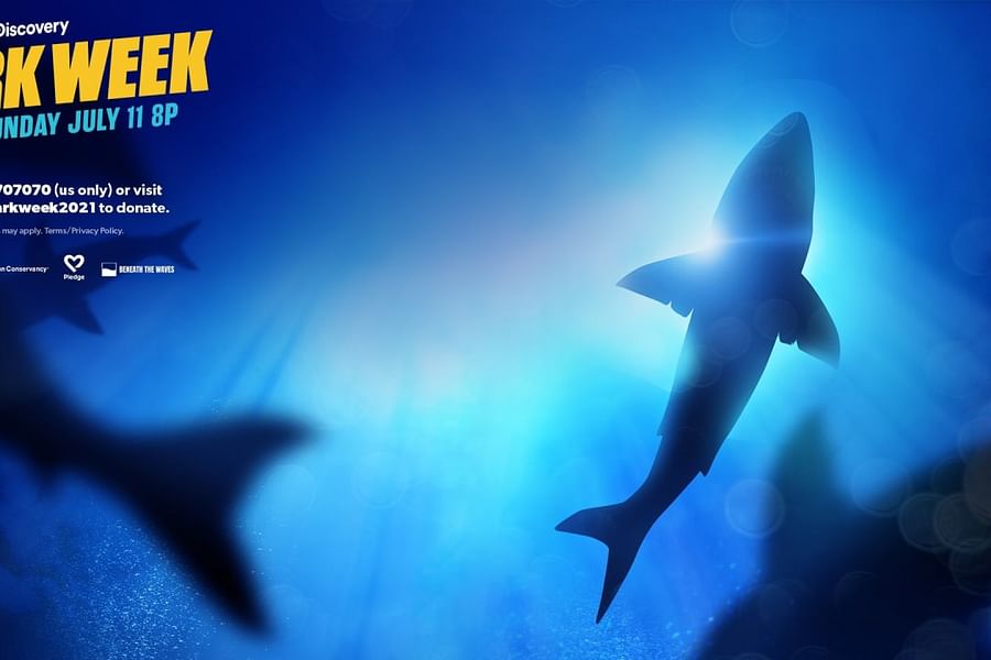 Oceana shark protection