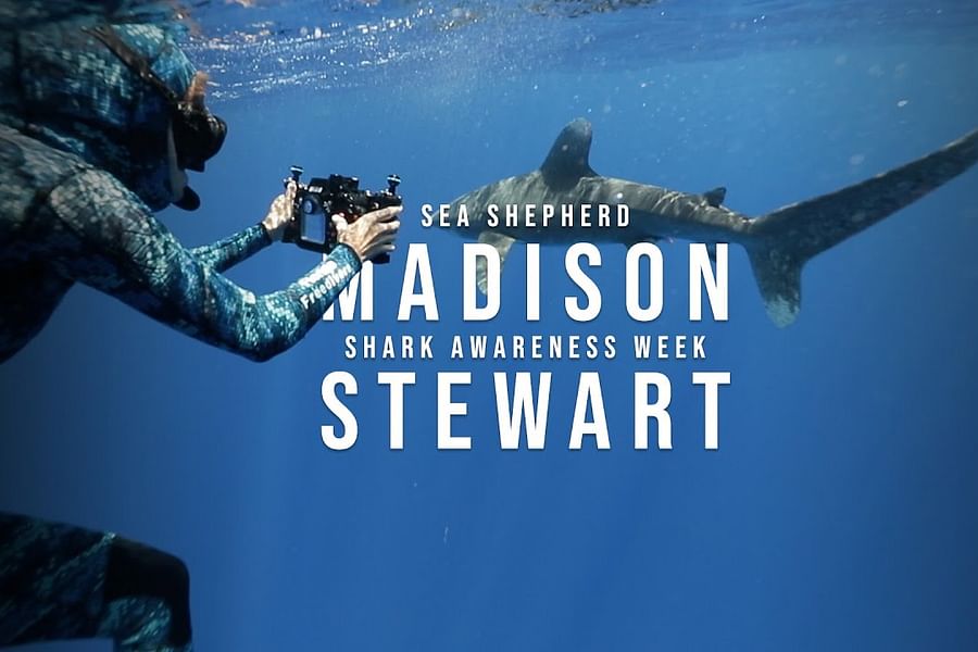 Sea Shepherd shark protection
