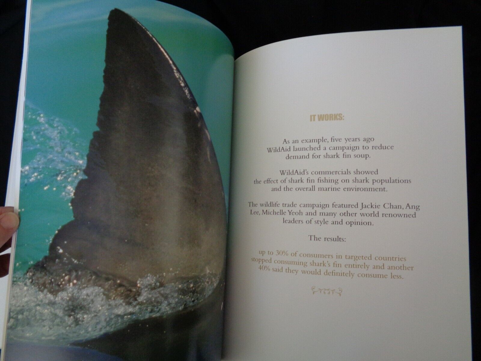 WildAid shark campaign