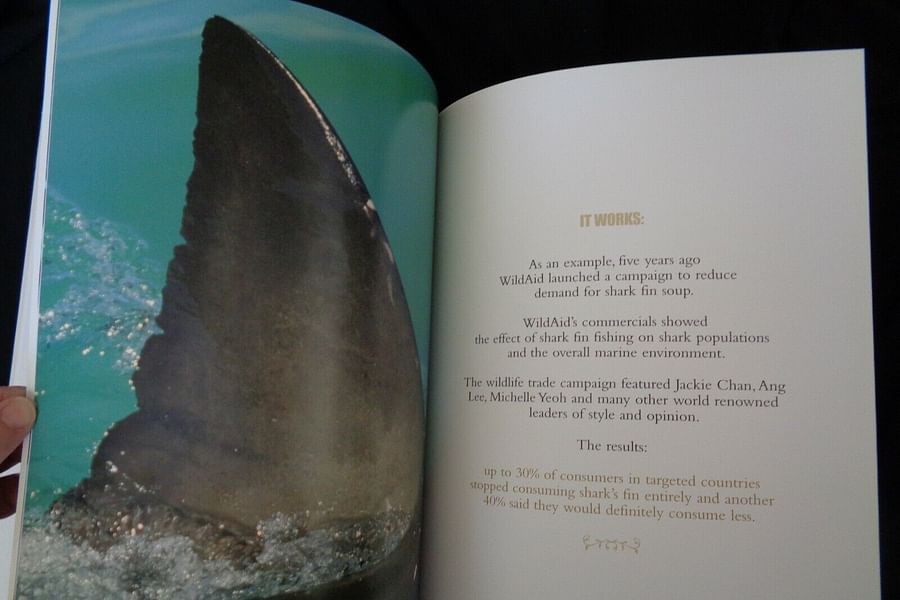 WildAid shark campaign