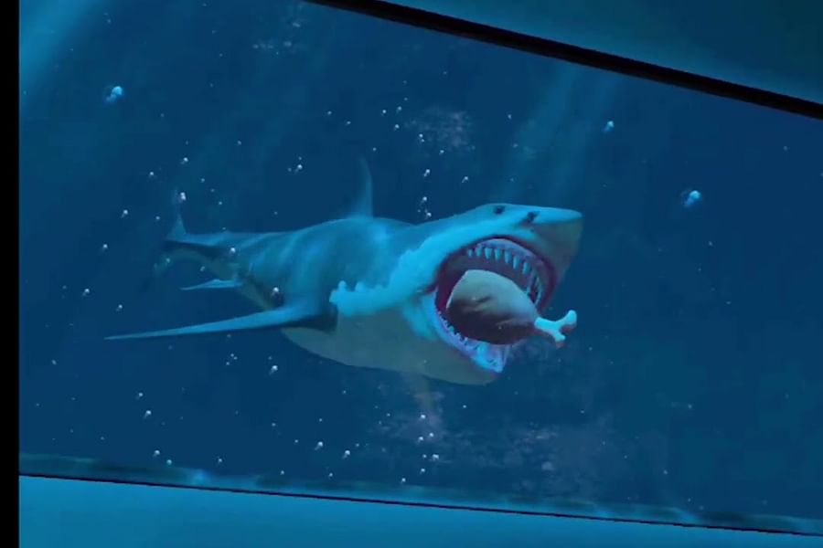 Great White Shark VR app