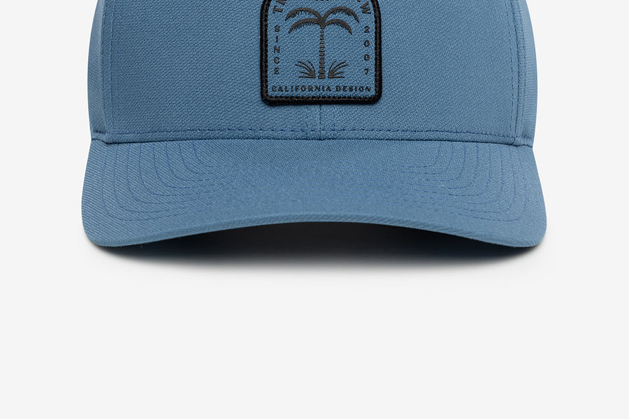 Shark Identifier app interface