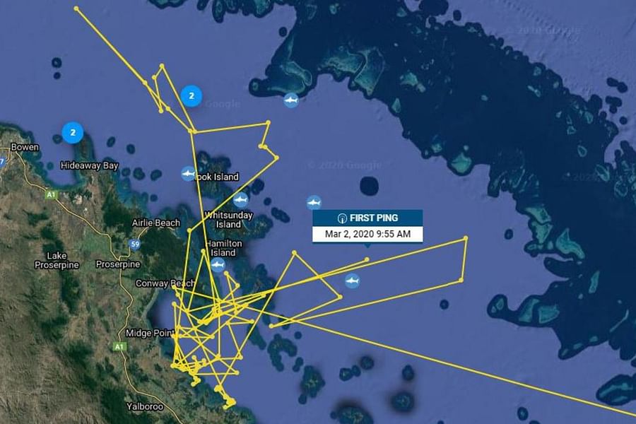 Shark Tracker app screenshot