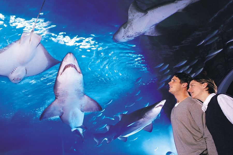 VR Ocean Aquarium 3D app