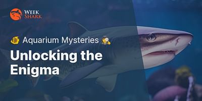 Unlocking the Enigma - 🐠 Aquarium Mysteries 🕵️‍♀️