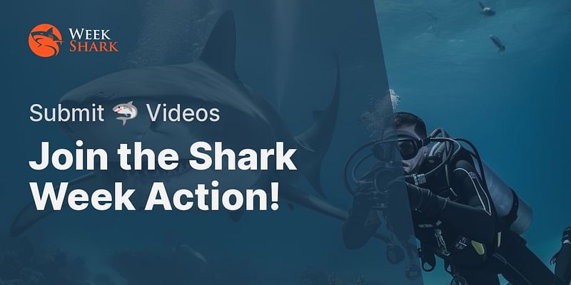 Join the Shark Week Action! - Submit 🦈 Videos