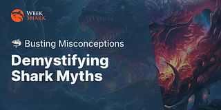 Demystifying Shark Myths - 🦈 Busting Misconceptions