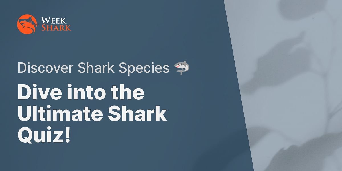 Shark Week Interactive Quiz: Test Your Knowledge About Different Types