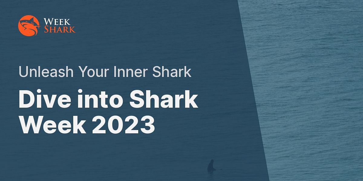 Your Ultimate Guide to Enjoying Shark Week 2023 | Week Shark