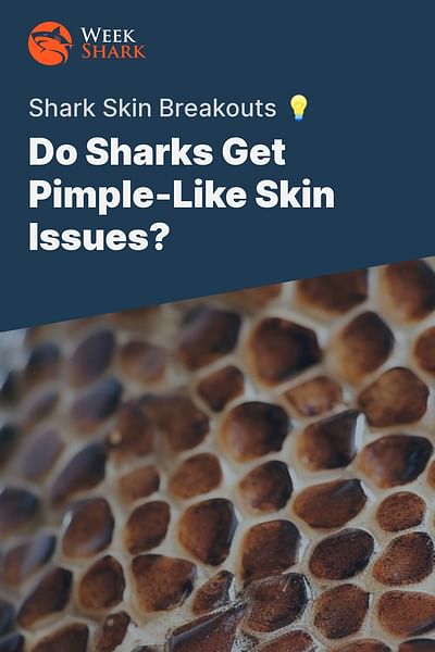 Do Sharks Get Pimple-Like Skin Issues? - Shark Skin Breakouts 💡